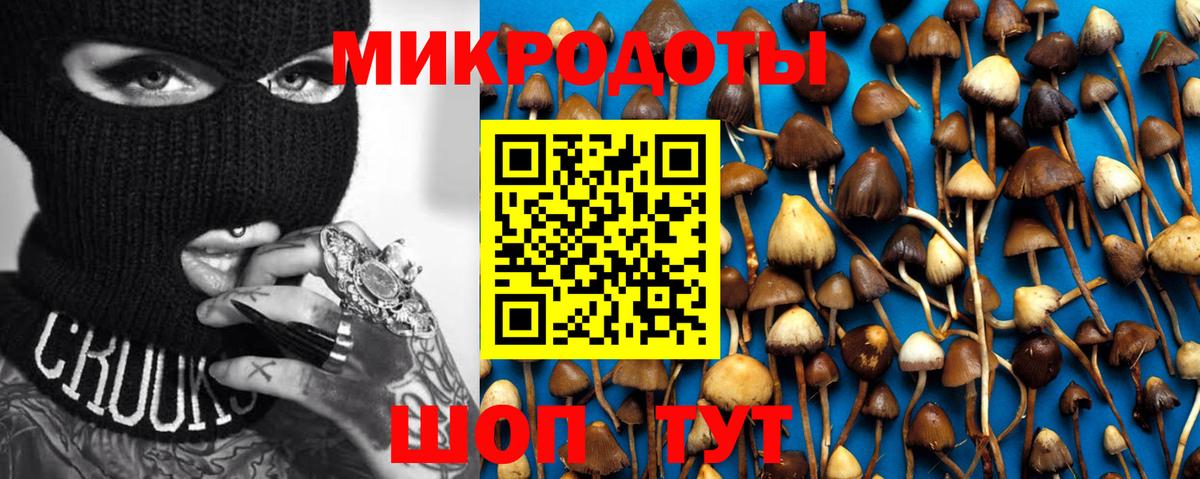 Галлюциногенные грибы Psilocybe  Вход с VPN  Псилоцибиновые грибы мицелий  Ржев 